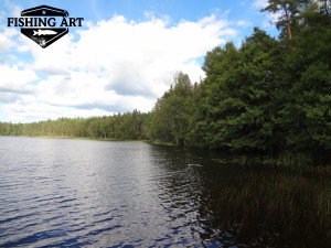 Stora Stocksjön 5