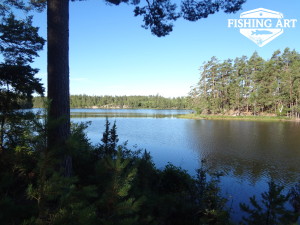 Stensjön 11