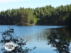Stensjön 9