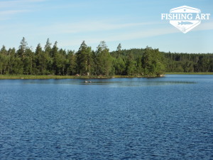 Stensjön 8