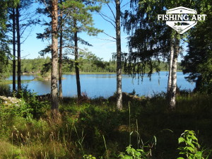 Stensjön 6
